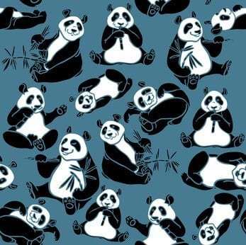 panda update 4.1