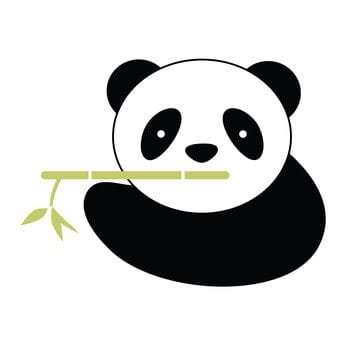 panda update 2014