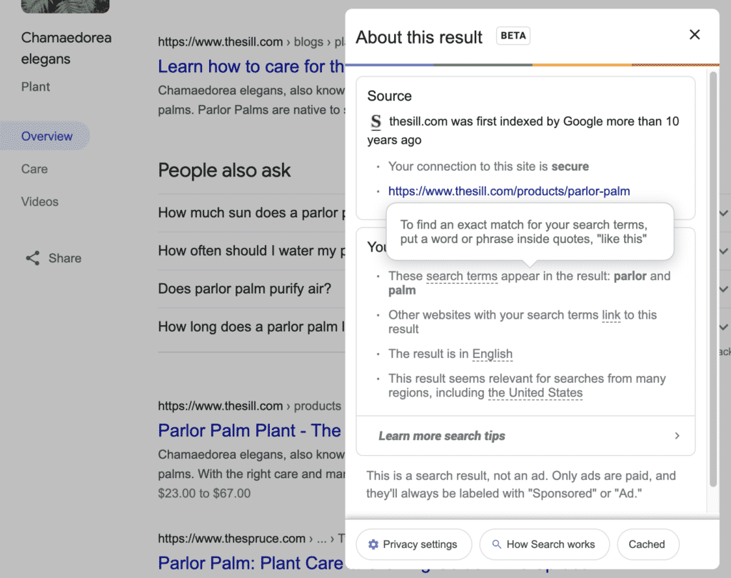Example-of-Google-About-This-Search-tip