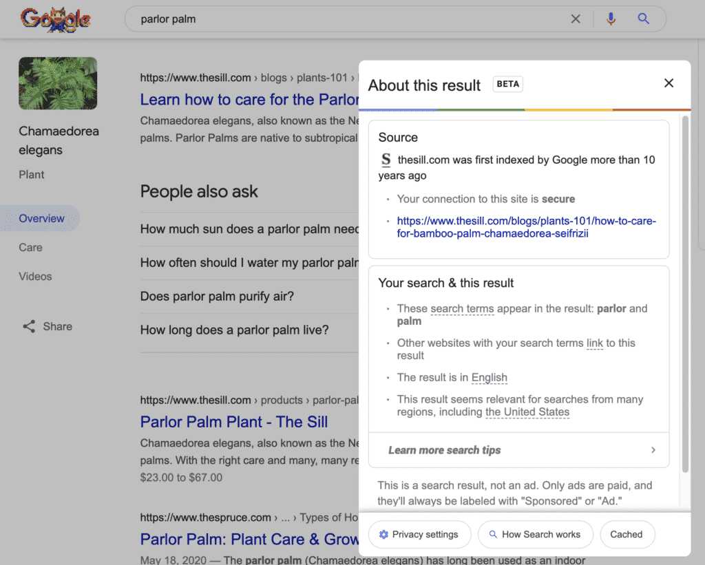Example of Google About this search feature